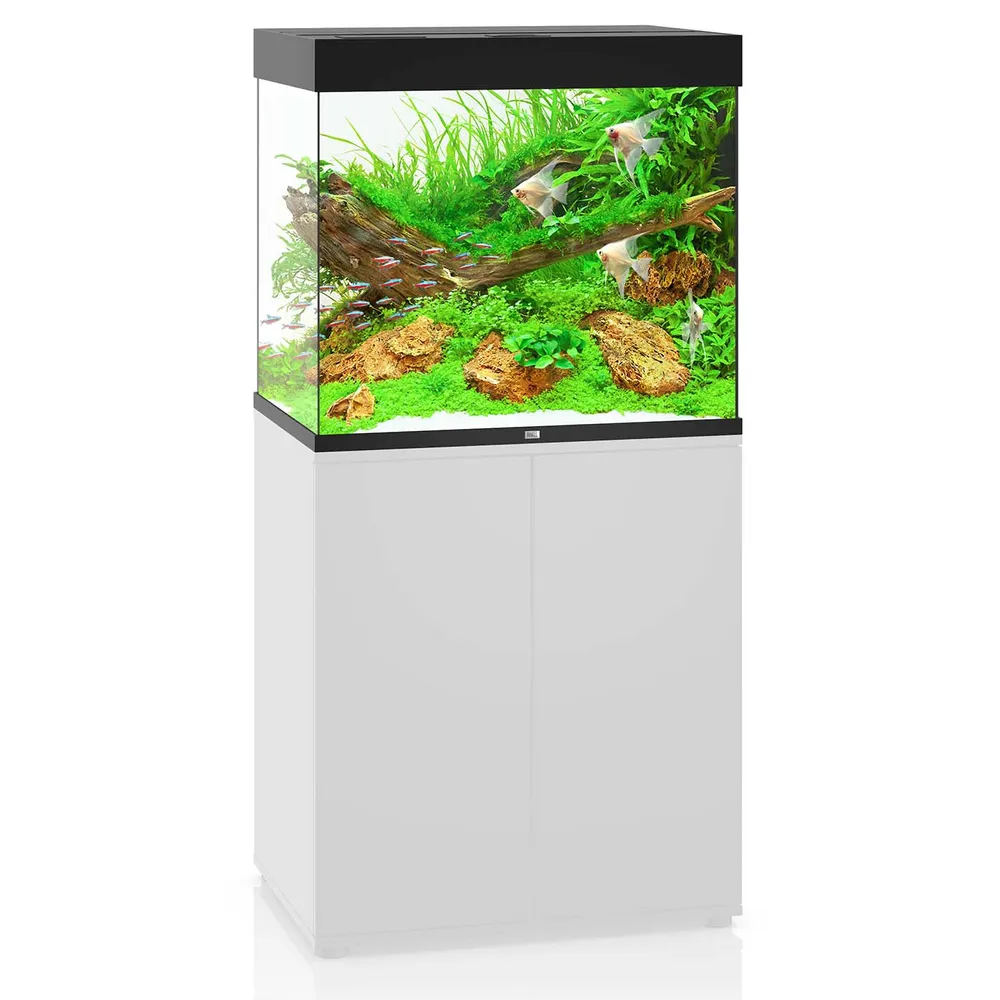 Juwel Akvarium Lido 200 Liter i Sort 70x51x65 cm
